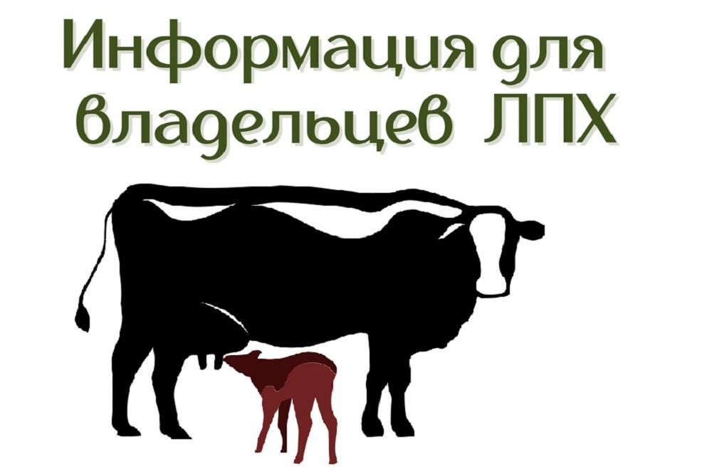 Информация  о субсидиях гражданам, ведущим личное  подсобное хозяйство, в  2023 году.