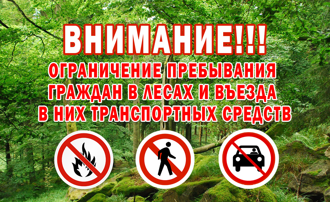 Ради сохранности лесов: в Республике Коми ограничено пребывание граждан в лесах..
