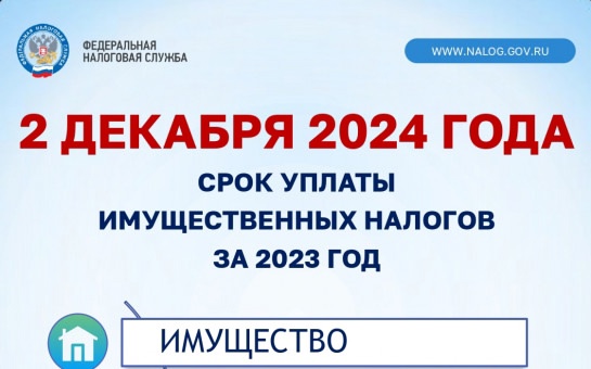 УПЛАТА НАЛОГОВ ДО 2 ДЕКАБРЯ 2024 года.